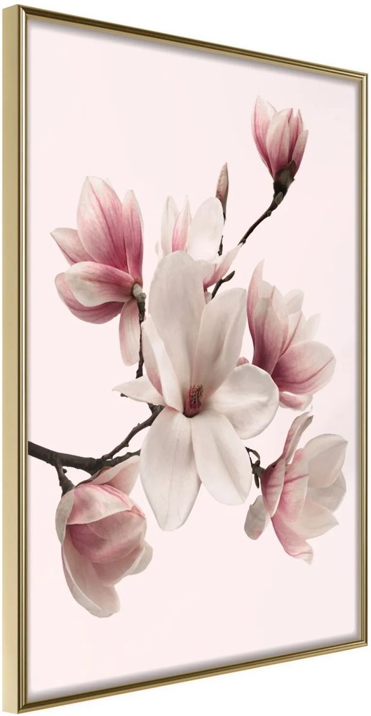 Αφίσα - Blooming Magnolias I - 30x45 - Χρυσό - Χωρίς πασπαρτού