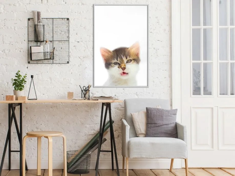 Αφίσα - Funny Kitten - 20x30 - Χρυσό - Χωρίς πασπαρτού