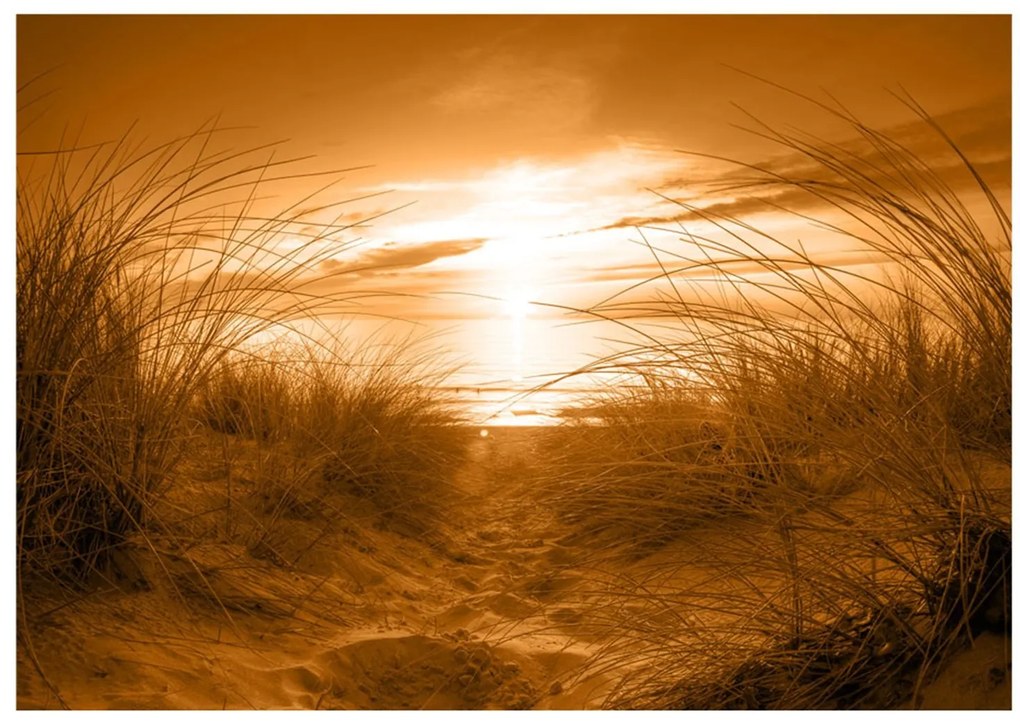 Φωτοταπετσαρία - beach (sepia) 200x140