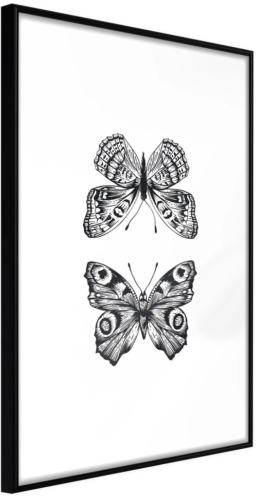 Αφίσα - Butterfly Collection I - 20x30 - Μαύρο - Χωρίς πασπαρτού