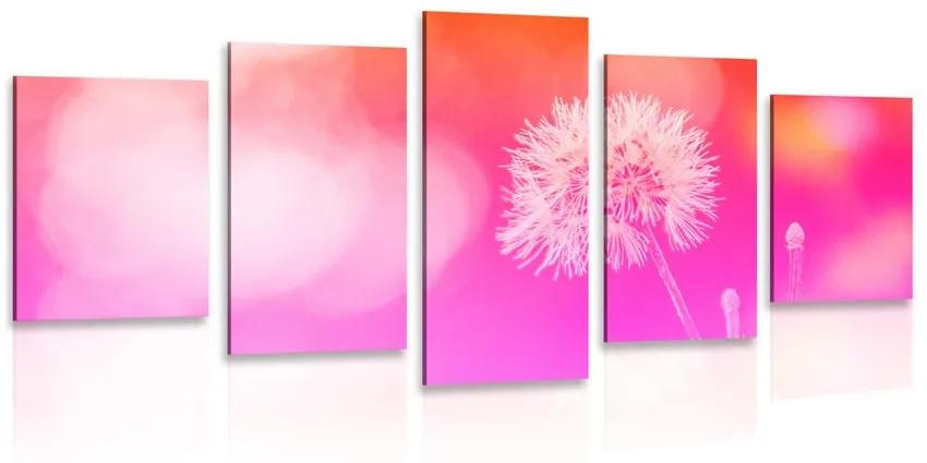 Εικόνα 5 τμημάτων Πικραλίδα σε ροζ φόντο