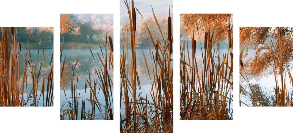 Ποταμός εικόνας 5 μερών στη μέση της φθινοπωρινής φύσης - 200x100