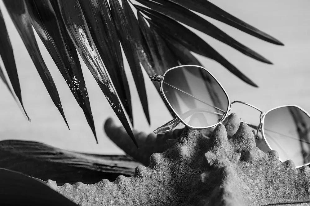 Εικόνα γυαλιών ηλίου σε κοχύλι σε μαύρο & άσπρο - 60x40