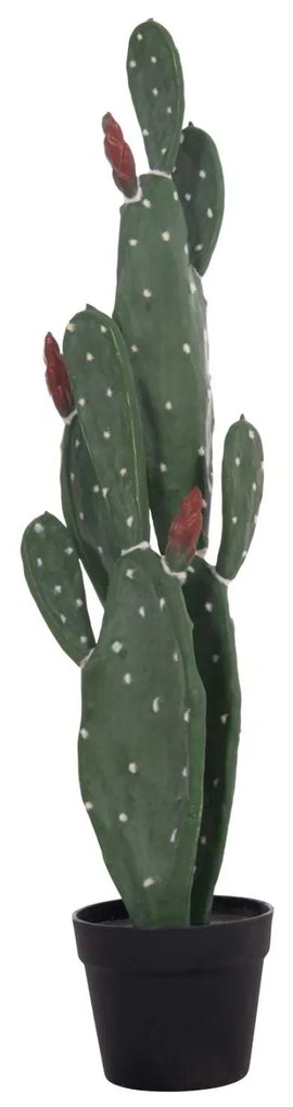 ΔΙΑΚΟΣΜΗΤΙΚΟ ΣΥΝΘΕΤΙΚΟ ΦΥΤΟ HM4748 ΚΑΚΤΟΣ ΜΕ ΓΛΑΣΤΡΑ 16x20x85Υεκ.