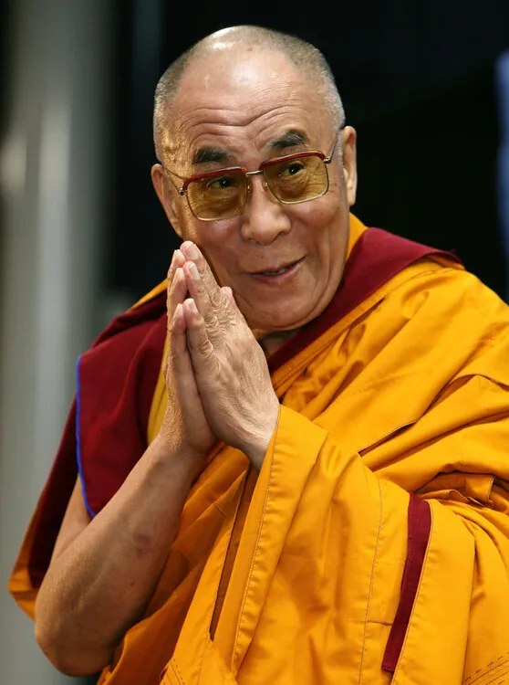 Φωτογραφία The Dalai Lama, 2008, Don Arnold