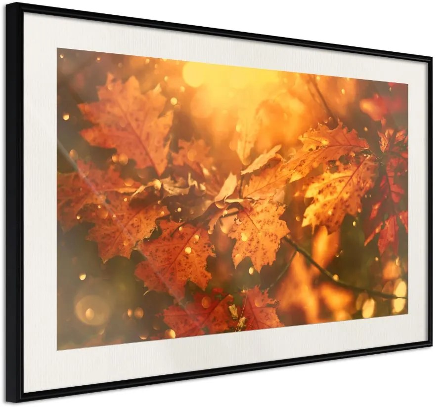 Αφίσα - Golden Autumn - 30x20 - Μαύρο - Με πασπαρτού