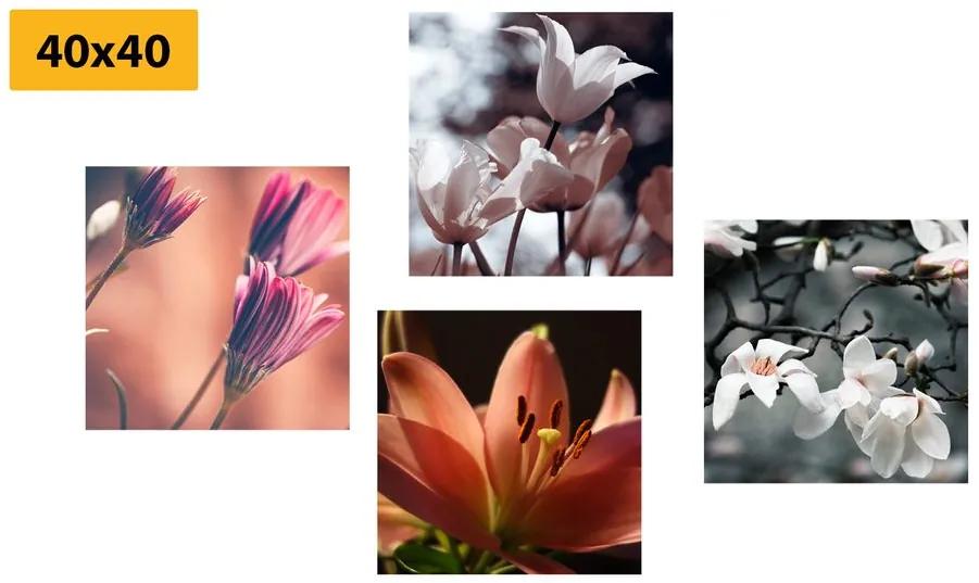 Σετ εικόνων τρυφερότητα των λουλουδιών - 4x 40x40