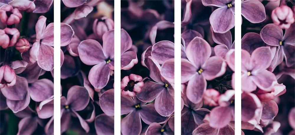 5 μερών εικόνα λουλούδια λιλά - 200x100