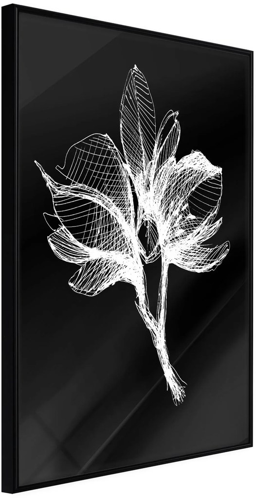 Αφίσα - White Plant - 30x45 - Μαύρο - Χωρίς πασπαρτού