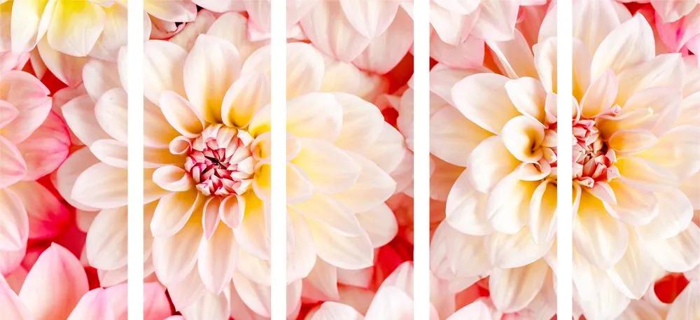 Εικόνα 5 τμημάτων παστέλ λουλούδια ντάλια - 100x50