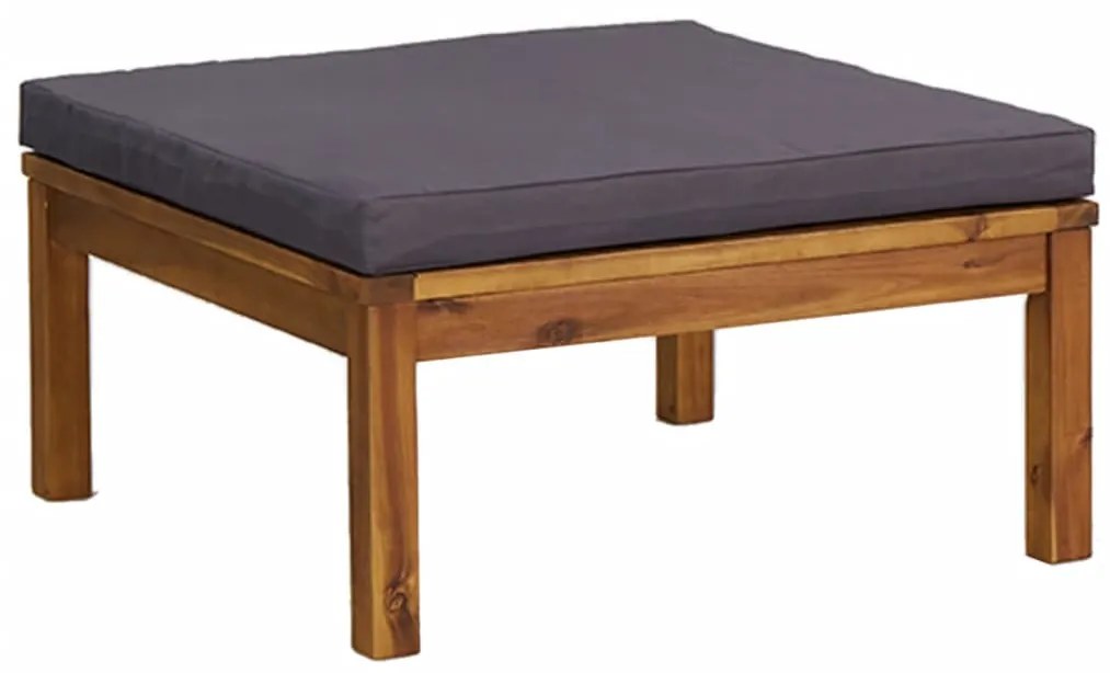 vidaXL Σαλόνι Κήπου 10 Τεμαχίων από Μασίφ Ξύλο Ακακίας με Μαξιλάρια