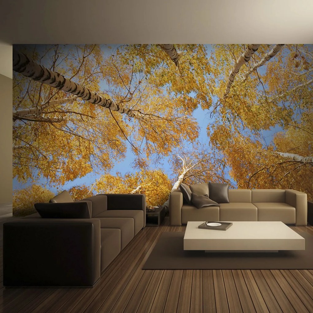 Φωτοταπετσαρία - Autumnal treetops 300x231