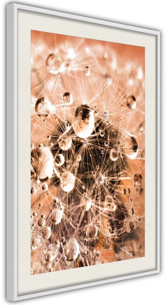 Αφίσα - Drops on Dandelion - 30x45 - Χρυσό - Χωρίς πασπαρτού