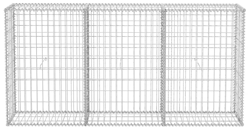 vidaXL Συρματοκιβώτιο 200 x 30 x 100 εκ. από Γαλβανισμένο Χάλυβα