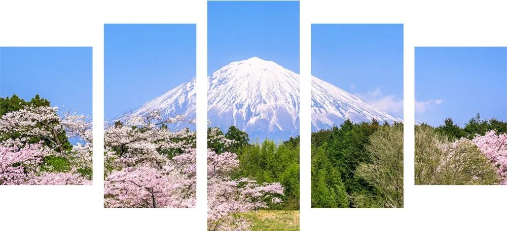 Εικόνα 5 μερών ηφαίστειο Fuji