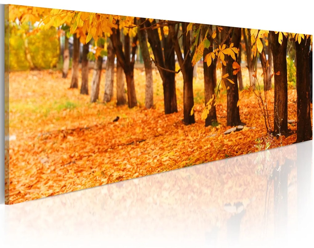 Πίνακας - Park covered with golden leaves 135x45