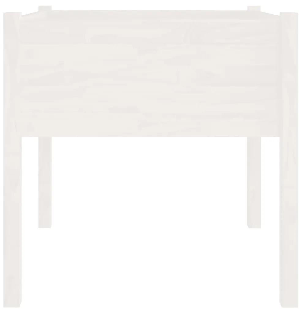Ζαρντινιέρες 2 τεμ. Λευκό 70 x 70 x 70 εκ. Μασίφ Ξύλο Πεύκου - Λευκό