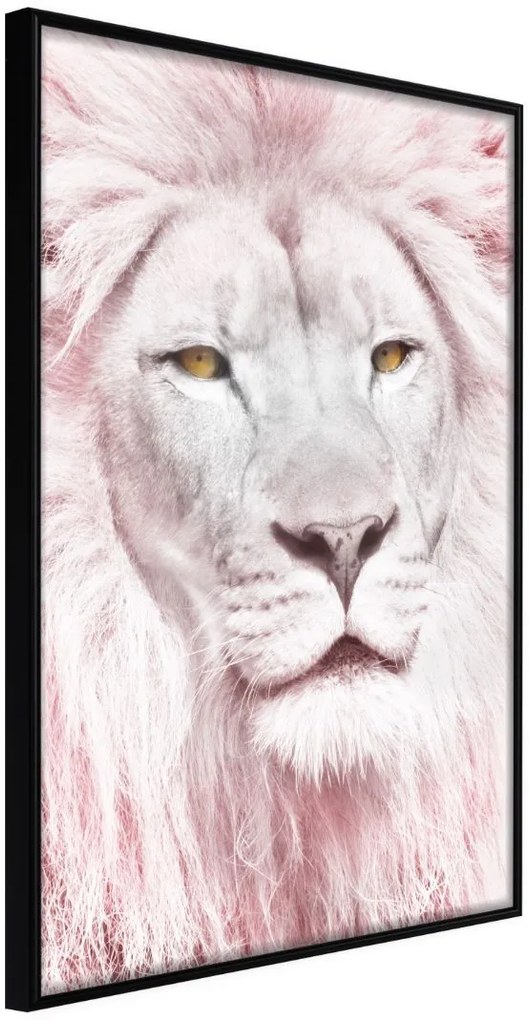 Αφίσα - Dreamy Lion - 30x45 - Μαύρο - Χωρίς πασπαρτού