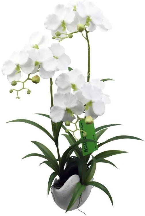 Supergreens Τεχνητό Φυτό Ορχιδέα Phalaenopsis Λευκό 57 εκ.