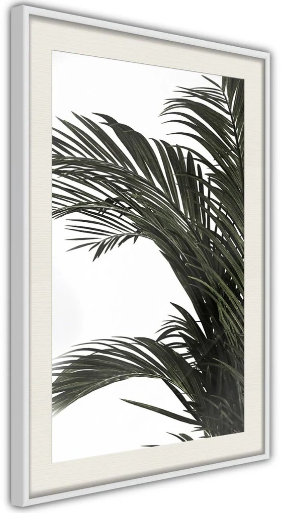 Αφίσα - Jungle Scent - 20x30 - Χρυσό - Με πασπαρτού