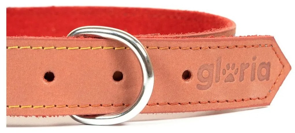 Κολλάρο Σκύλου Gloria Oasis Κόκκινο (50 x 2,1 cm)