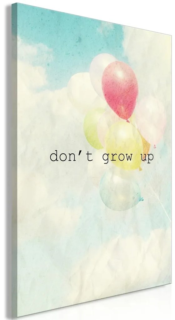 Πίνακας - Don't Grow Up (1 Part) Vertical - 40x60