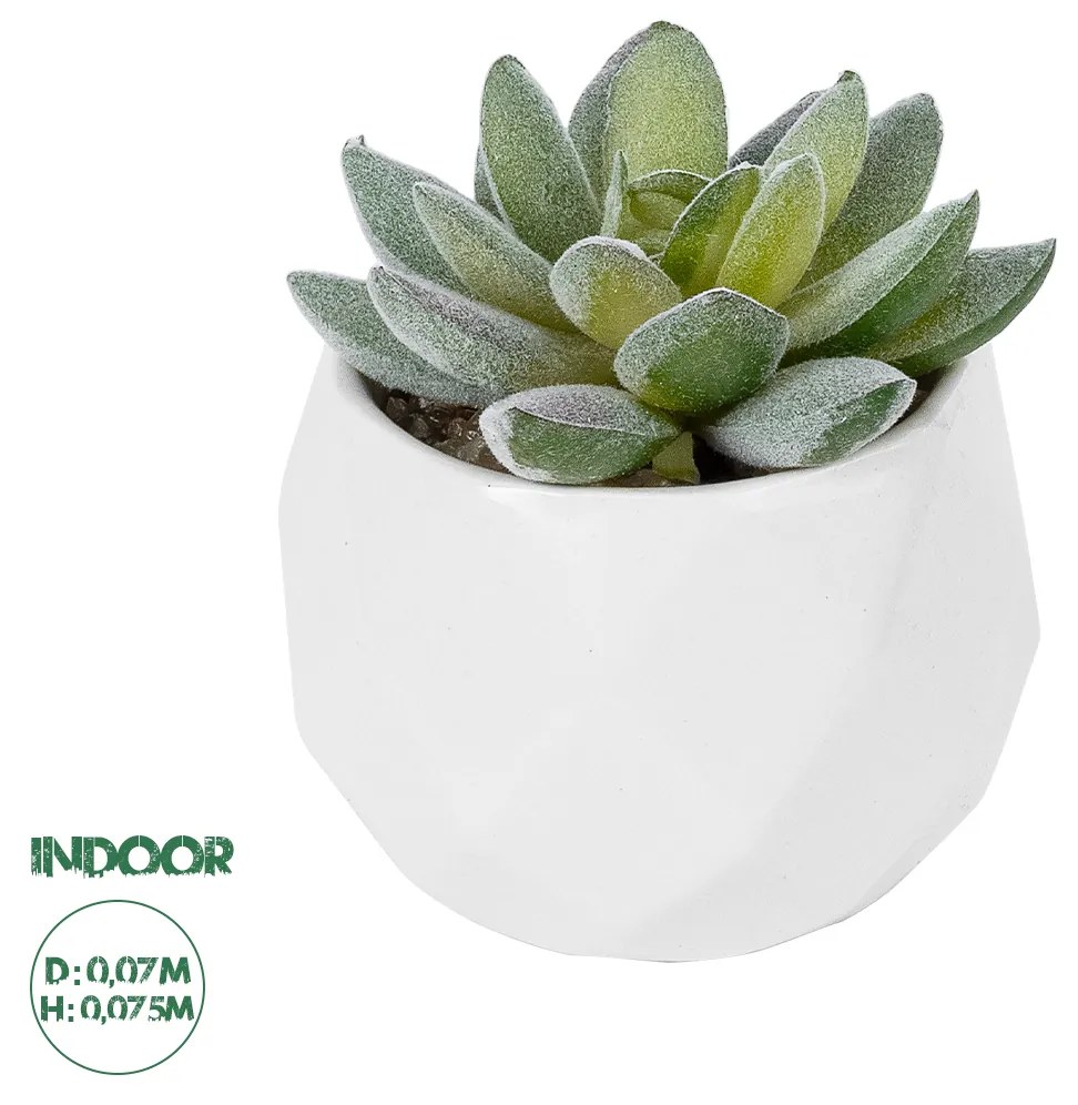 Artificial Garden SUCCULENT SEDEVERIA POTTED PLANT 20987 Διακοσμητικό Φυτό Σεδεβέρια Φ7 x Υ7,5cm