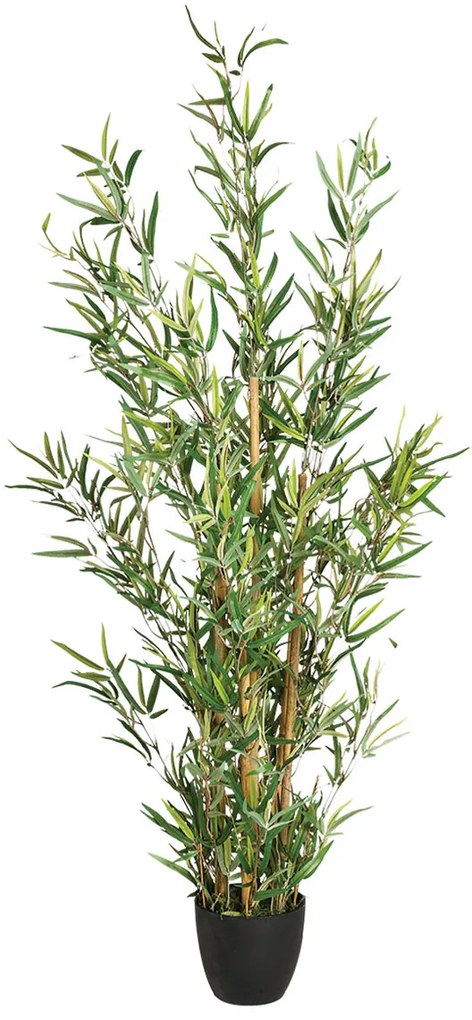 Τεχνητό Δέντρο 120εκ. A-S Bamboo Pot 110342