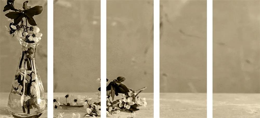 Εικόνα 5 μερών ενός άνθους κερασιάς σε βάζο με σέπια