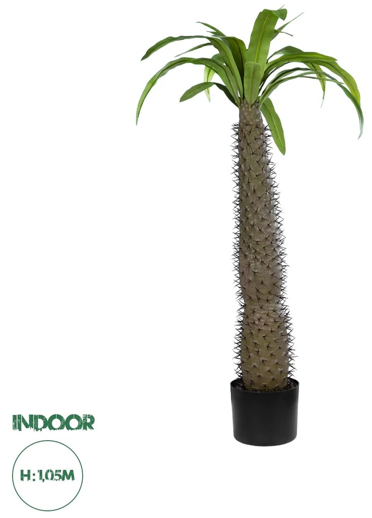20129 GloboStar® Artificial Garden PACHYPODIUM LAMEREI PALM TREE 20129 Τεχνητό Διακοσμητικό Φυτό Φοίνικας της Μαγαδασκάρης Υ105cm