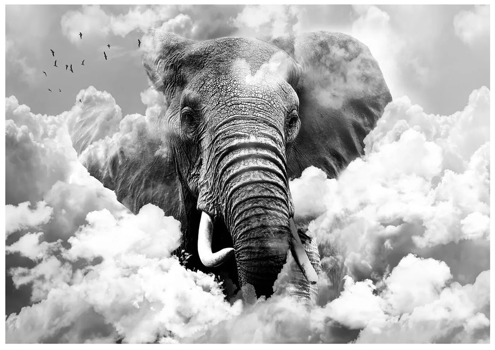 Φωτοταπετσαρία - Elephant in the Clouds (Black and White) 100x70