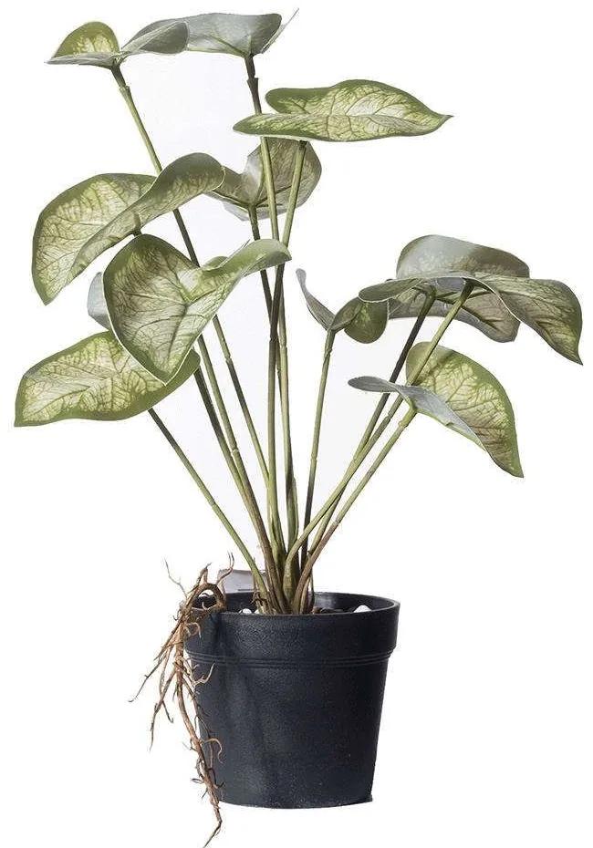 Τεχνητό Φυτό Καλάδιο Candidum Junior 0260-6 30x32x37cm Green Supergreens Πολυαιθυλένιο