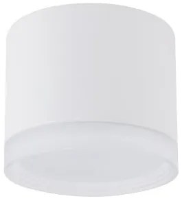 Σποτ Φωτιστικό Οροφής 1xGX53 Downlight Silba Nowodvorski 10476 Λευκό