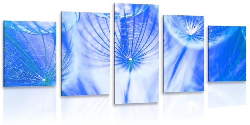 Εικόνα 5 τμημάτων Πικραλίδα σε μπλε - 200x100
