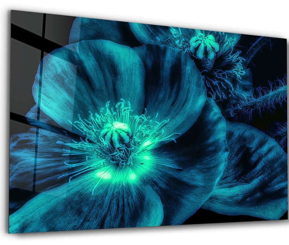 Πίνακας Γυάλινος 672BRS2029 72x46cm Multi Wallity Οριζόντιοι Glass