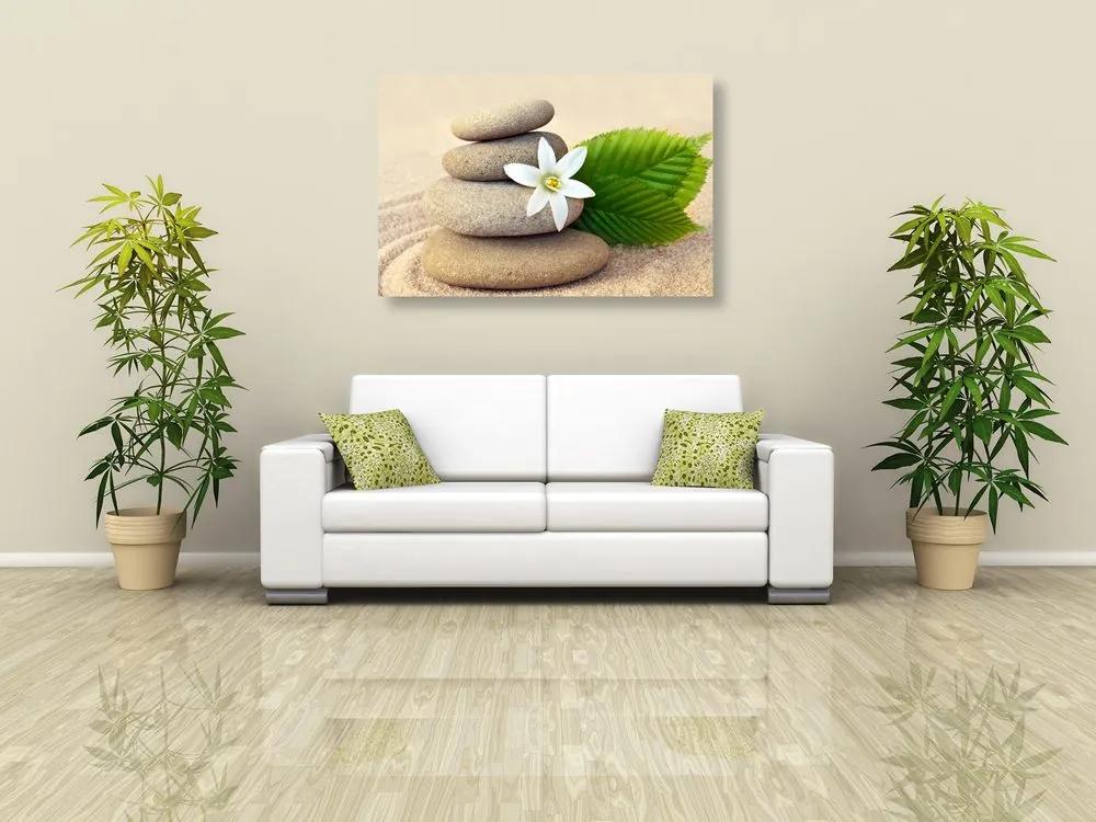 Εικόνα λευκό λουλούδι και πέτρες στην άμμο - 90x60