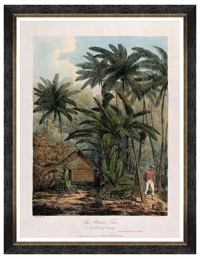 Κάδρο Trees Of Krakatoa - The Plantain Tree FA13201 60X80 MindTheGap Vertical Ξύλο