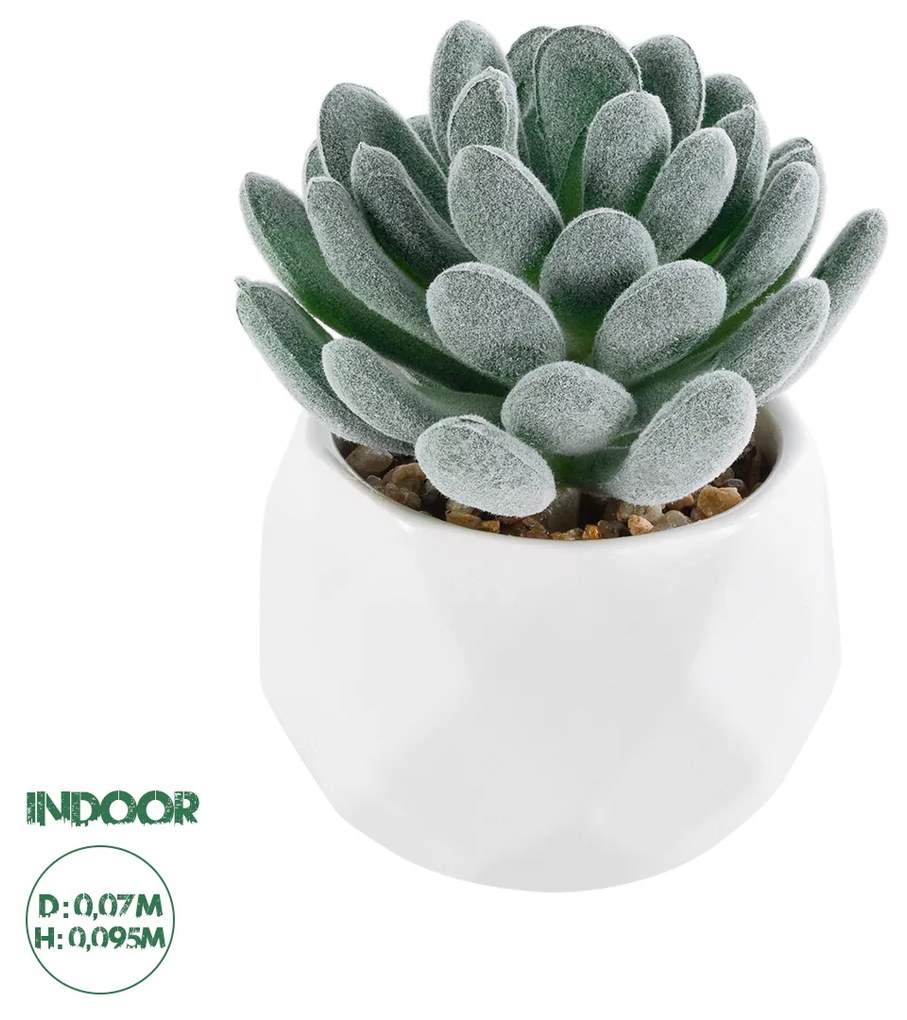 GloboStar® Artificial Garden SUCCULENT SEDEVERIA 21001 Διακοσμητικό Φυτό Παχύφυτο Σεντεβέρια Υ9.5cm