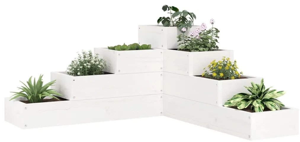 vidaXL Ζαρντινιέρα 4 Επιπέδων Λευκή 80,5x79x36 εκ. Μασίφ Ξύλο Πεύκου