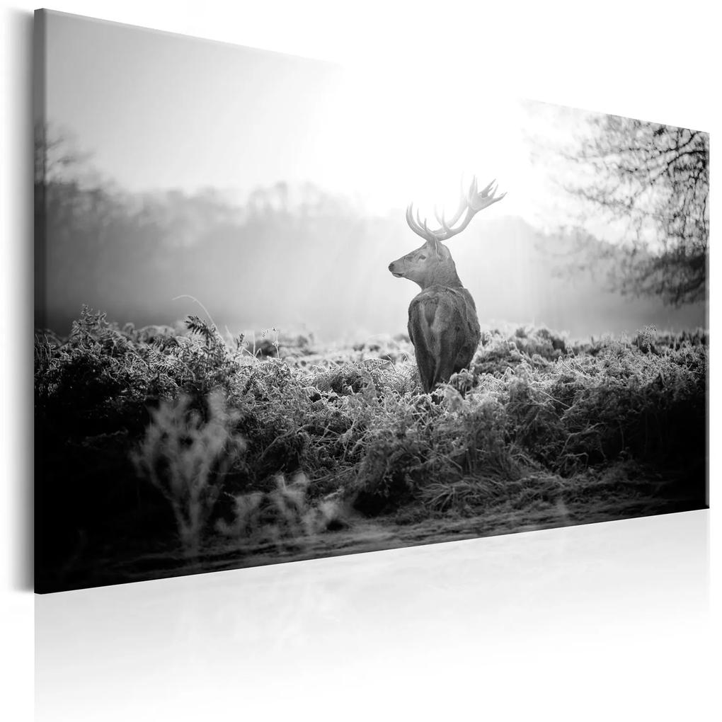 Πίνακας - Black and White Deer 120x80