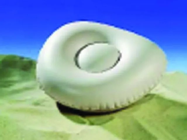 Μαξιλάρι Wehncke 11543