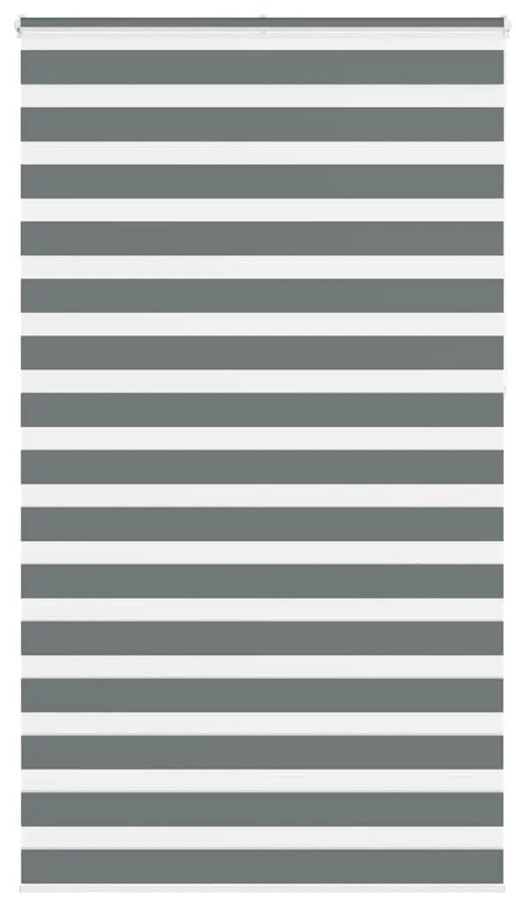 Ζέβρα τυφλή Σκούρο Γκρι Πλάτος υφάσματος 125,9 εκ. Πολυεστέρας