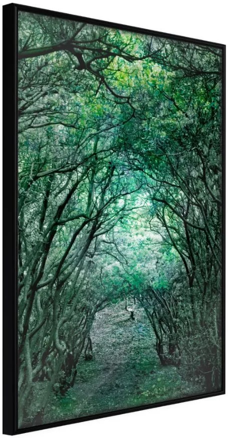 Αφίσα - Tree Tunnel - 20x30 - Μαύρο - Χωρίς πασπαρτού