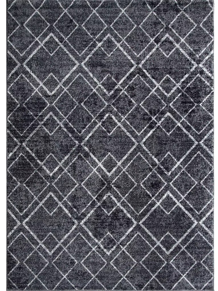 Χαλί "FAYNO" σε χρώμα σκούρο γκρι/λευκό 200x250 700-01321
