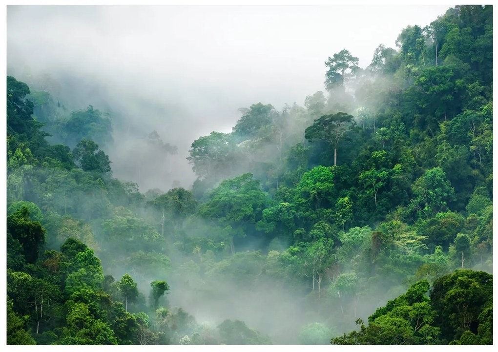 Φωτοταπετσαρία - Morning Fog 100x70