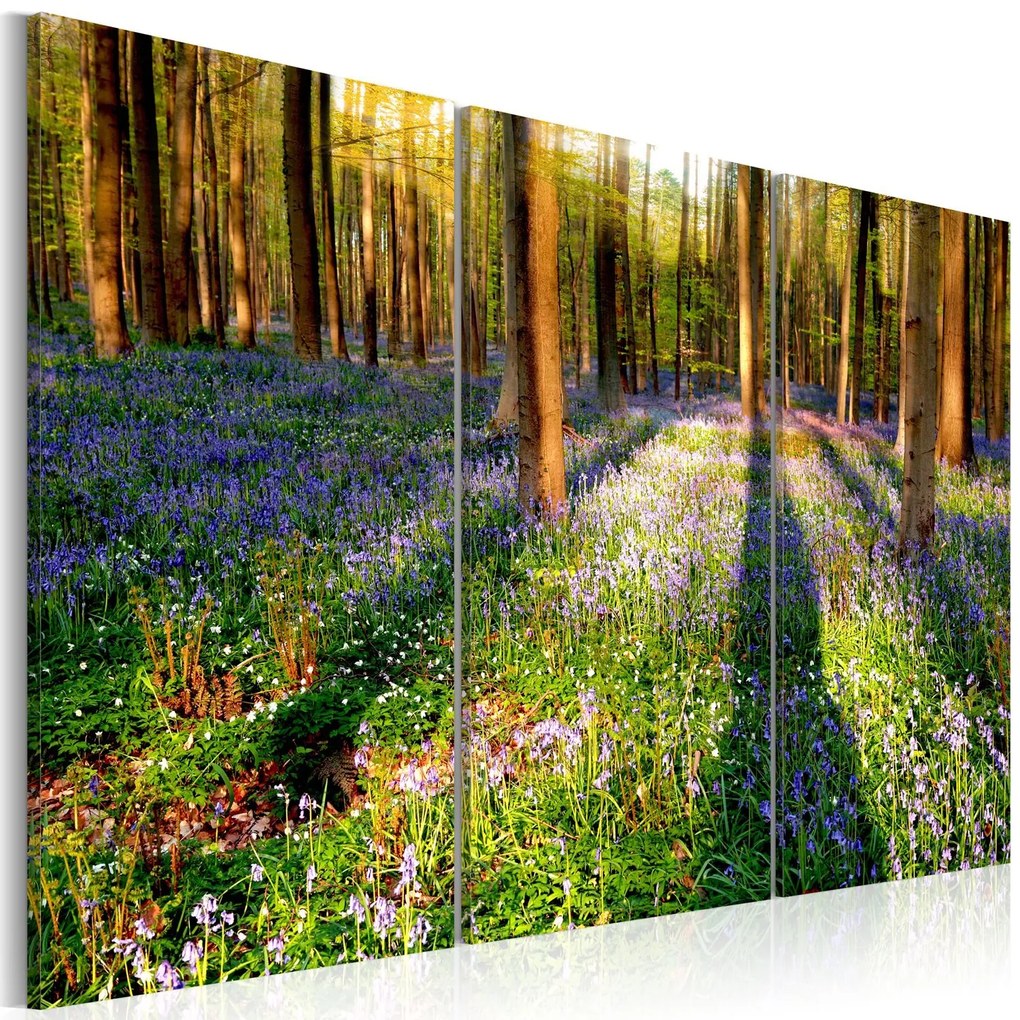 Πίνακας - Spring Forest 90x60