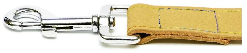 Λουρί Σκύλου Gloria Oasis 2.1 x 100 cm Κίτρινο