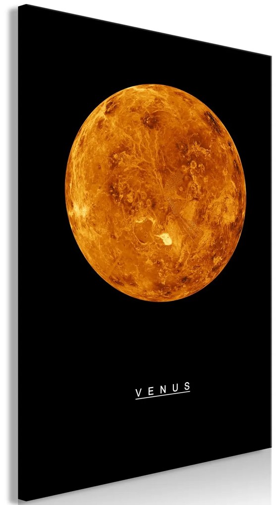 Πίνακας - Venus (1 Part) Vertical - 60x90