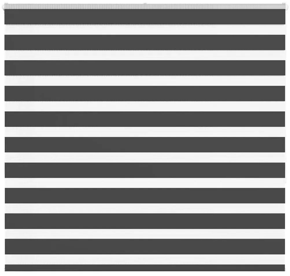 Ζέβρα τυφλή Μαύρο Πλάτος υφάσματος 155,9 εκ. Πολυεστέρας