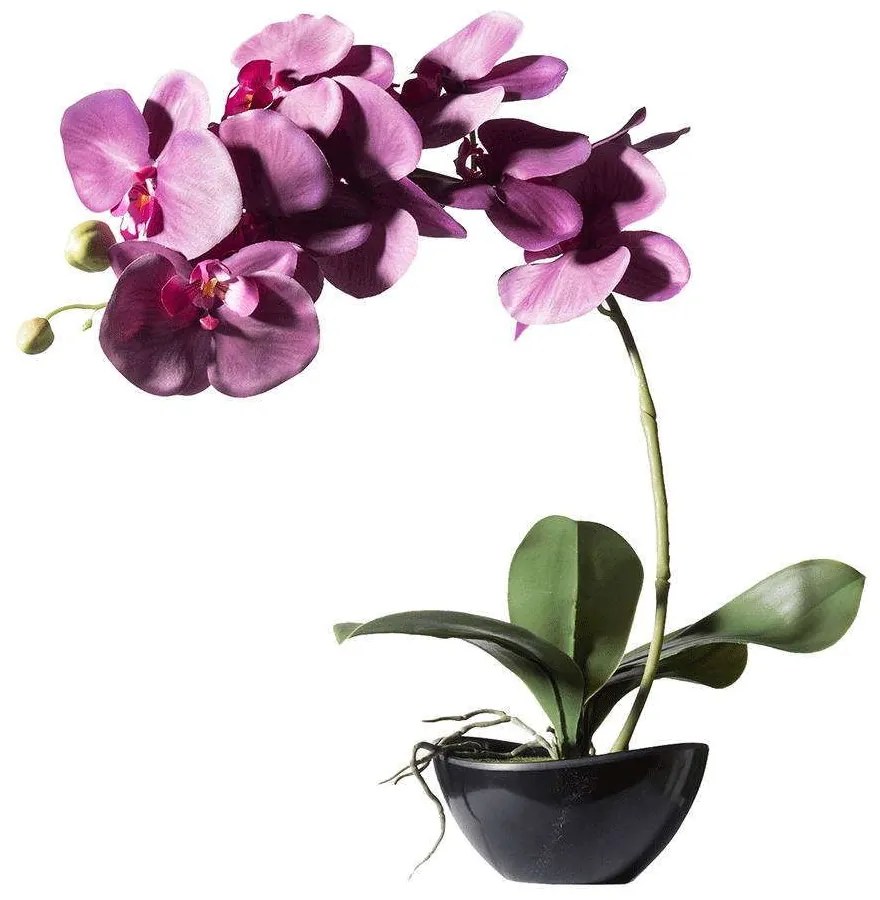 Τεχνητό Φυτό Ορχιδέα Με Κασπώ 2170-6 24x15x48cm Purple Supergreens Polyethylene